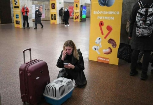 catsbeaversandducks: Ukrainians fleeing with their pets. They don’t leave them behind. I can&r