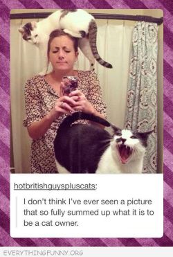 advice-animal:  Selfie + Catsadvice-animal.tumblr.com