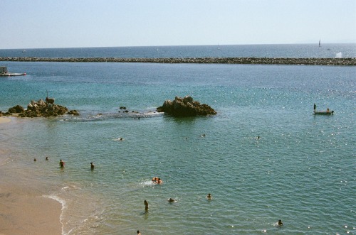 1-800-garbage:  Corona Del Mar Minolta Maxxum 300si 35mm x 