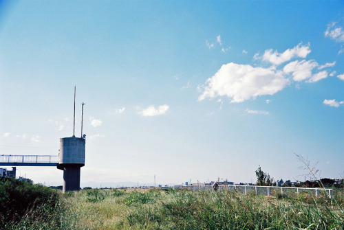 多摩川 - Tama River by lemonhats