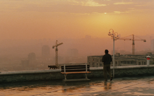 verachytilovas:TASTE OF CHERRY ‘طعم گيلاس‎, Ta’m-e gīlās’ (1997) dir. Abbas Kiarostami