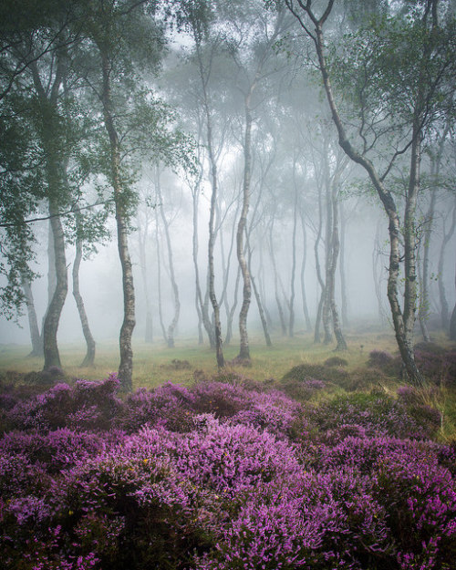 90377: Misty Stanton 2 by J C Mills Photography on Flickr.