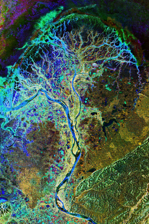 chill-adventurer: infinity-imagined: River Deltas around the world, imaged with the ASAR radar instr