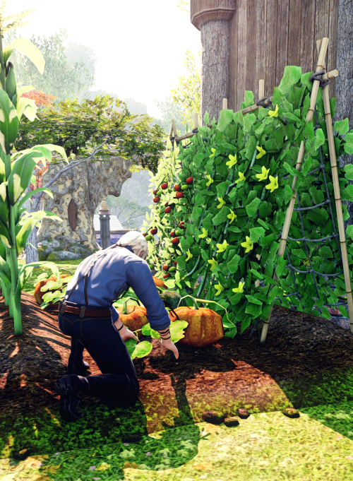 FEB[HYUR]ARY 2022DAY 4 : TIMERuran showing a some patience and care, tending to his little garden.