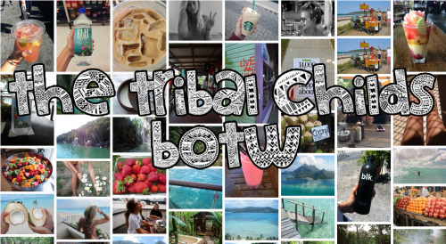 the-tribal-child:  I’m doing a botw :) -MBF the-tribal-child!! -reblog up to 5 times max. -likes wil