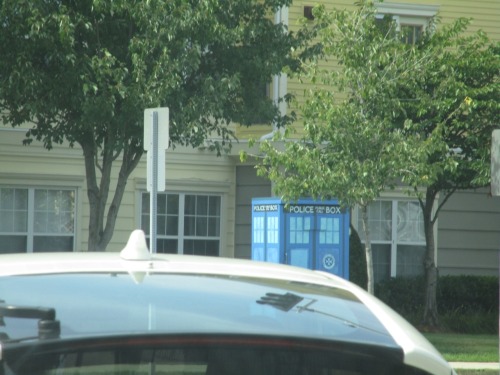 sherlockedcompanion-9101112: I found a wild TARDIS in Salem, MA.