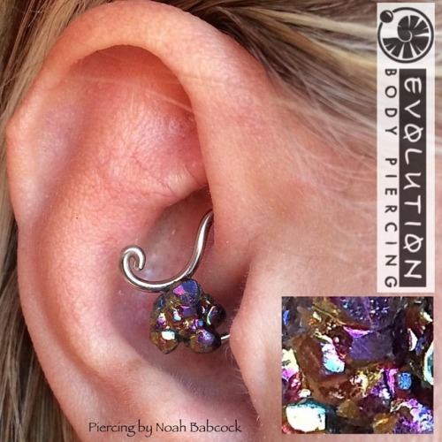 Fresh #daith piercing with jewelry by #evolutionmetalworks and a bit of custom bending. (at Evolutio