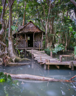 travelgurus:  Amazing photo of  witch’s shack that was built for Pirates of the Caribbean 2.  It is located on the Indian River in Portsmouth, Dominica in the Caribbean.         Travel Gurus - Follow for more Nature Photographies!       