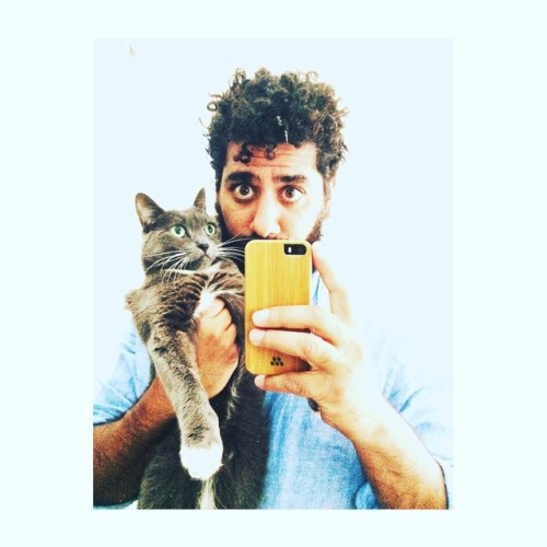 jacquel-and-ibis: This is Abu Meowski. He hates everyone. #catlover #cats_of_instagram #palestinian 