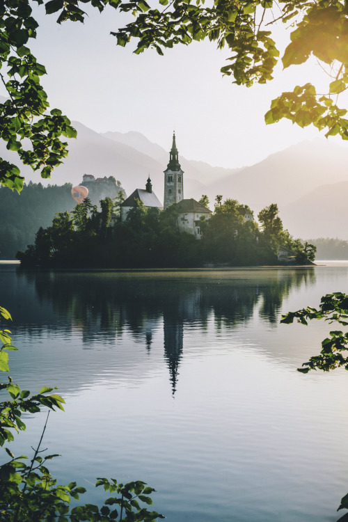 lemnxscata: sayazurii: Merlin Kafka - Framed by Nature Slovenia/ lake Bled.