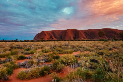 between4corners: Sunrise on Uluru, NT 2016 Nicolas PINEL