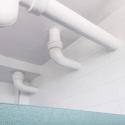 ixng:  bathroom for the next 8 months 