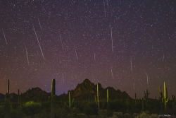 space-pics: Geminids Meteor Shower from Southern Arizona [OC] [3000x2000]