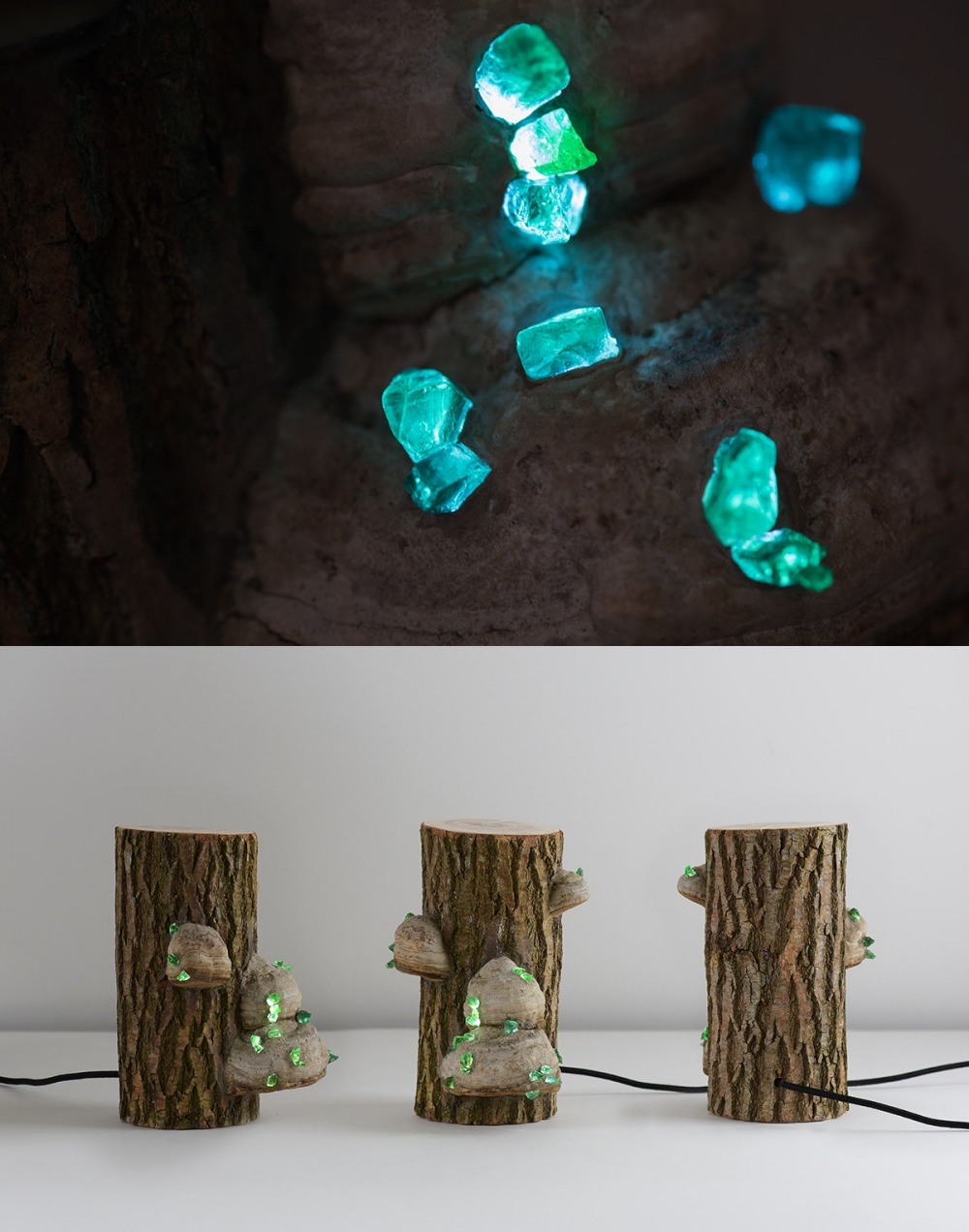 sosuperawesome: Never before documented, discovered in wild northern forests these