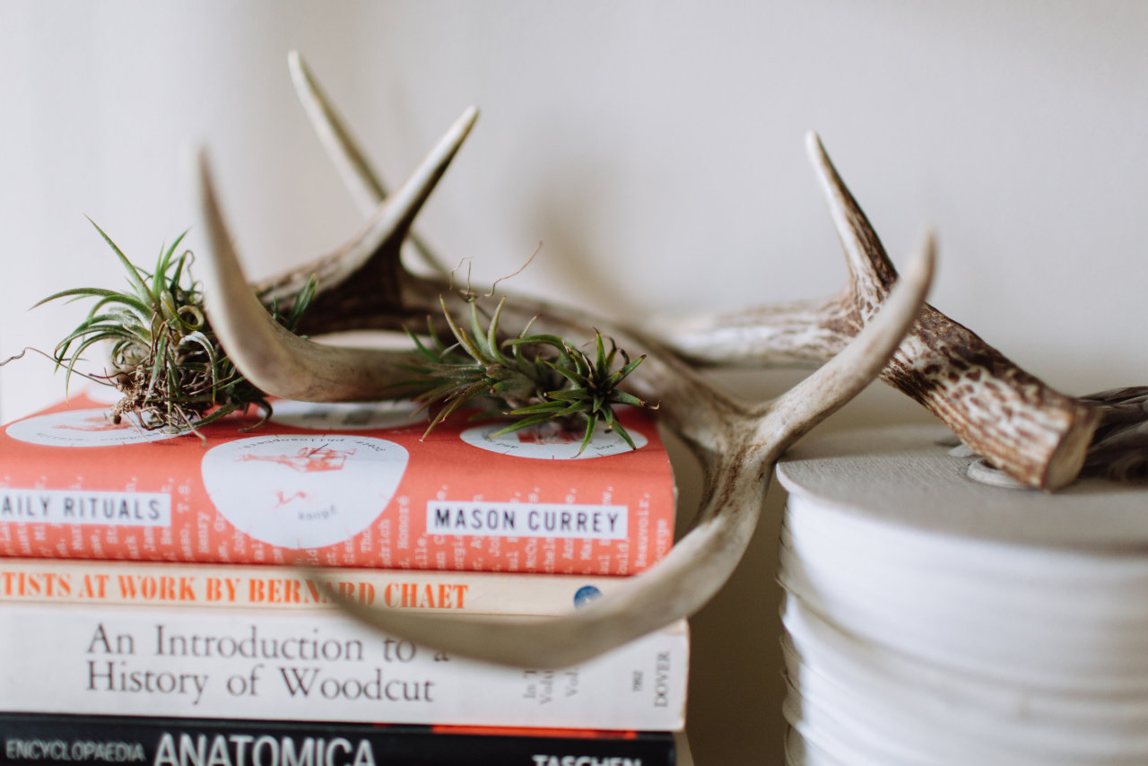 joellesoswell:  my home is a shrine, I build it piece by piece. (little ephemera