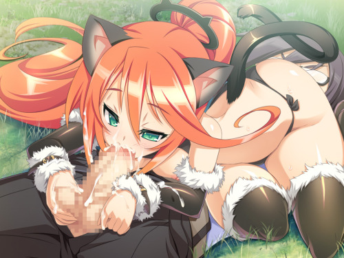 Sexy catgirls and stuff