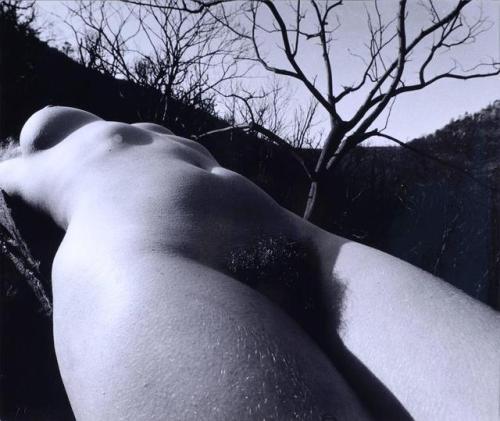 tournevole: © Lucien Clergue, Nu de la forêt, calcinée, 1970
