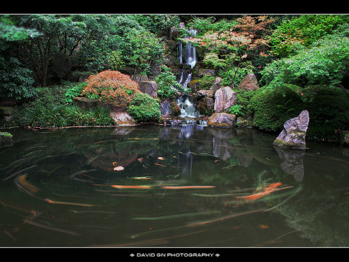 The Waterfall at Portland Japanese Garden 