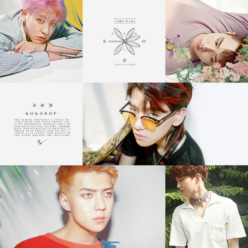 kamikoy:EXO The War (4th album)