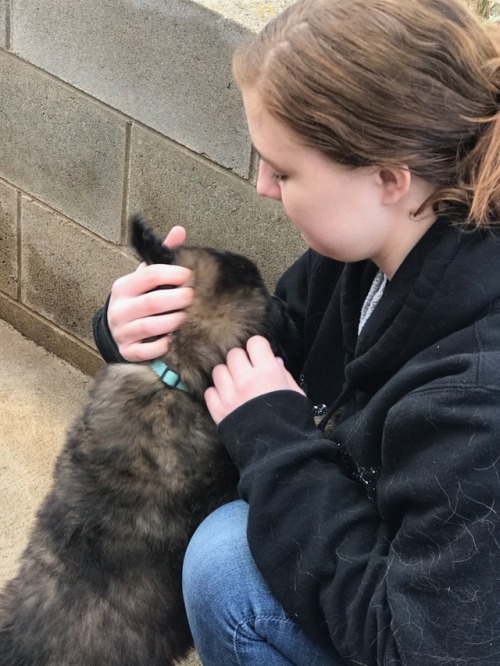 Met Atticus&rsquo; new sister and her littermates and mum! Only 4 more weeks until she comes home!