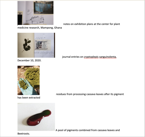 gyamfieric: Notes from my thesis project/ research on Photography as it entangles the vital forces o