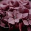 deafeningbouquets