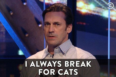 By cats he means pussy, right? Happy Birthday, Jon Hamm. 