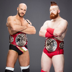 fishbulbsuplex:RAW Tag Team Champions Sheamus