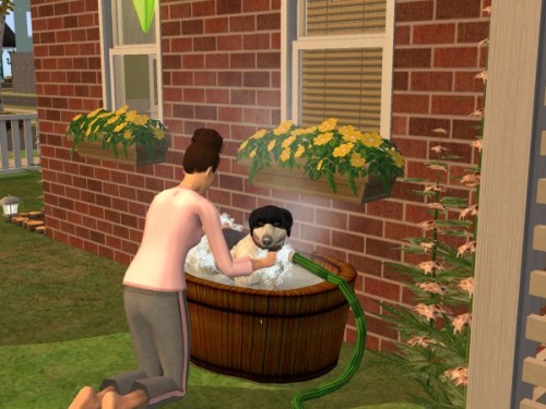 Soooo I Just Found My Old Ts2 Screenshot Folder From 2017-ish, And Im