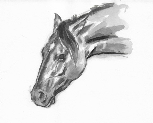 A Portrait Of A Horse Done For Inktober. It Was Painted With Black Calligraphy Ink On Paper.