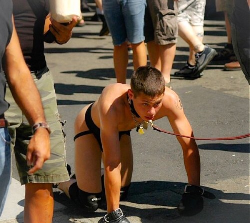 yellowlad16:  Public Pup