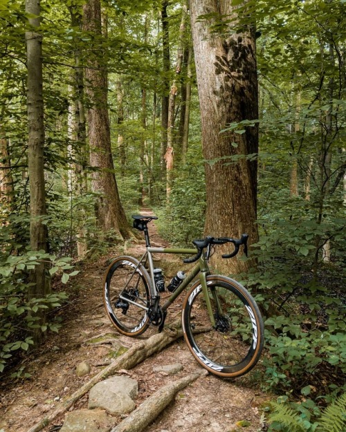 idifm:Tallman Mountain State Park has some hidden gems and these trails are perfect for my off road 