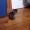 OFFLINE