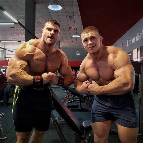 roidsville-zoo:  Mariusz  Tomczuk and Stepan  Stepanenko