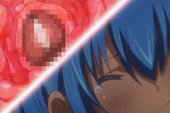 justaguyshentaiblog:    Rance Hikari o Motomete The Animation Vol. 2   