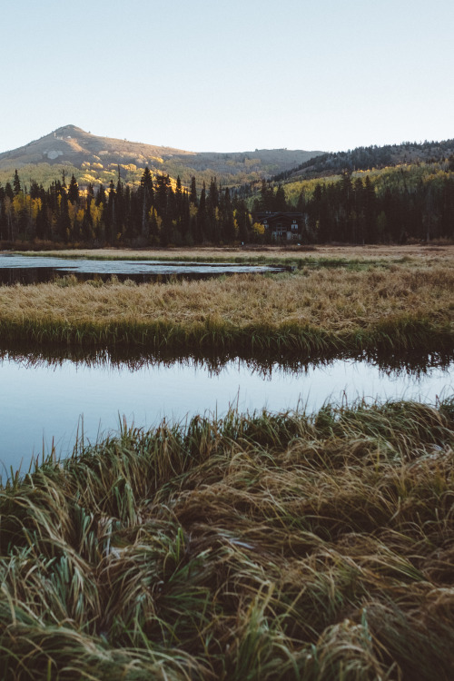 jakeallisonphoto:  Front row seat to nature’s showig: @thejakeallison