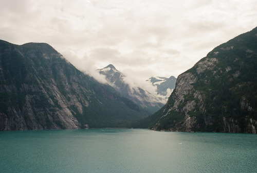lyricalsycamore:  Untitled by kara o’keefe on Flickr. 