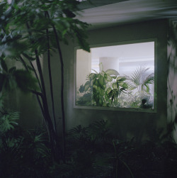 hiromitsu:  untitled by sasha tamarin on