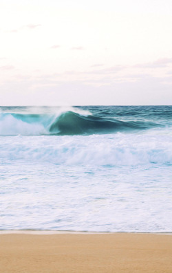 aspworldtour:  No competition today. 2014 Billabong Pipe Masters: Dec. 8 - 20 Photo | wjameskessel 