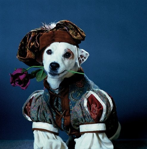 hopebooksbulldogs:Can we all just take a moment to remember the greatness that was Wishbone? Truly o