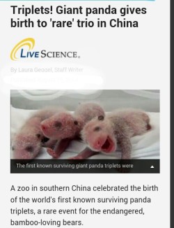 phan-you-not:  youtubers-fuckdup-melissa:  Beautiful things Phil Lester caused:  1. New born pandas (triplets) 2.Dan Howell’s smile  i guess it’s true…. phil lester truly is magical and miraculous 