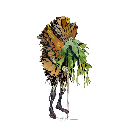 Some Time Ago, I Designed A Dryad For Every Platycerium/staghorn Fern Species I Have Or Have Had (my