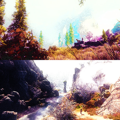 renegons: ❅