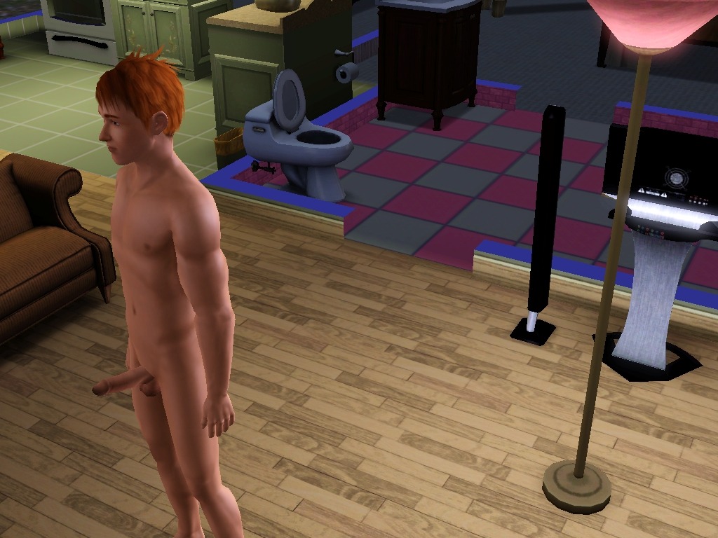 clitsandlips:  Off Topic For all Sims3 fans out there. I’ve got an “easy to use
