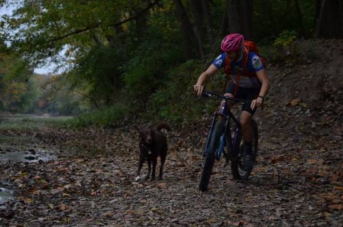 ayoungwildheart: Riding with my friend’s dog.