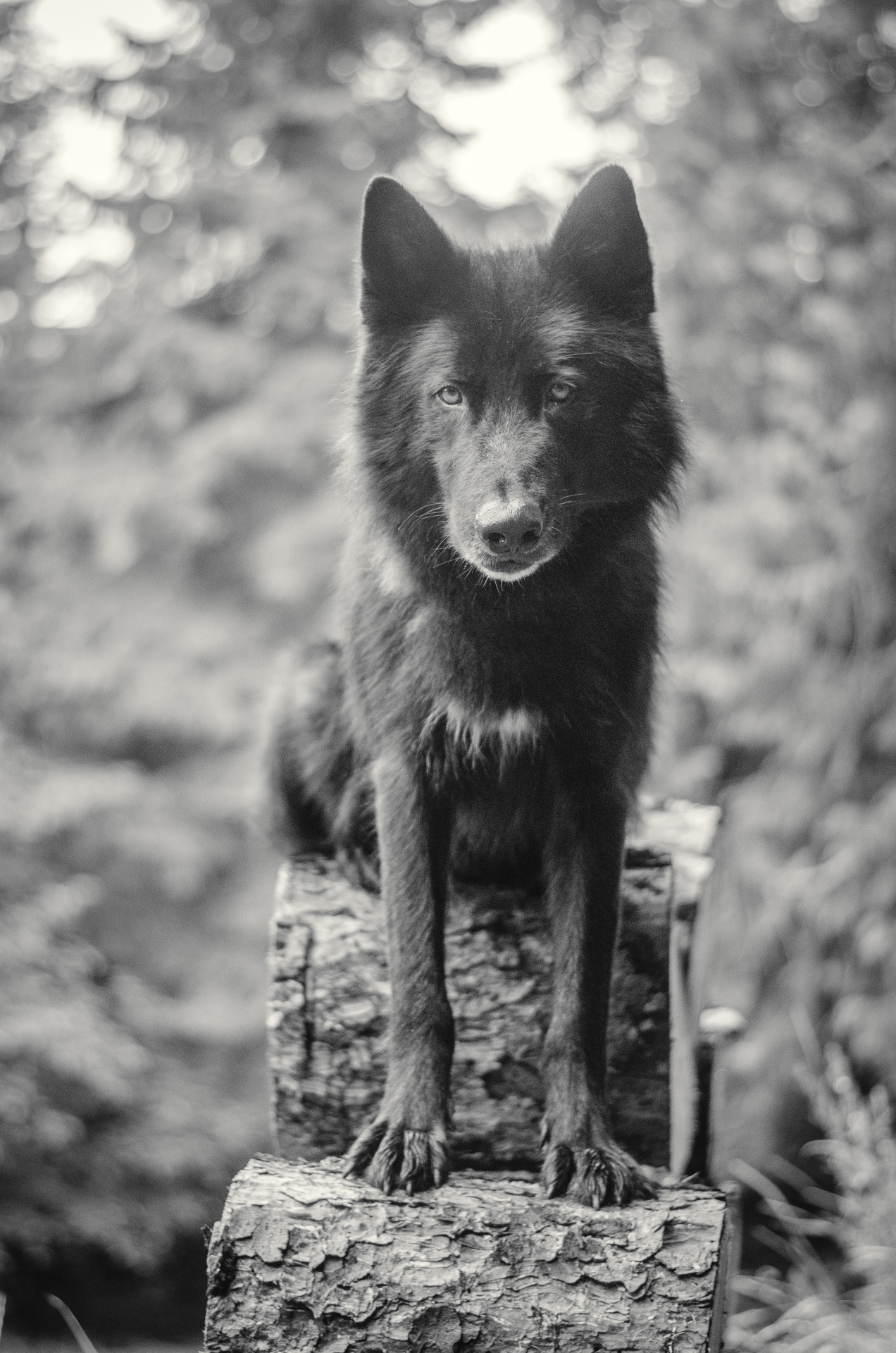 instinct-photography:  Summer coat boy.