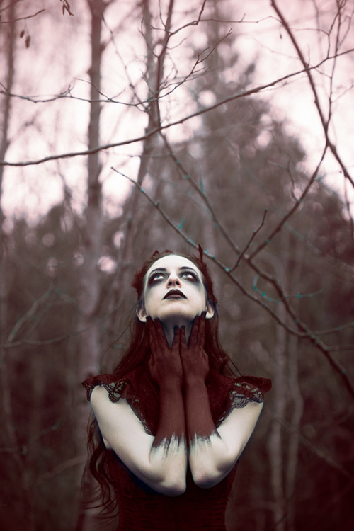 asylum-art:  Maiden Of Ravens: The Dark And Romantic Portraiture Of Sarah BowmanSarah Bowman is a photographer based in Nanaimo, Canada, whose passion for portraiture and surrealist imagery has blossomed into this darkly beautiful series, entitled Maiden