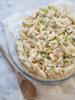 lets-just-eat:  Shrimp and Macaroni Salad