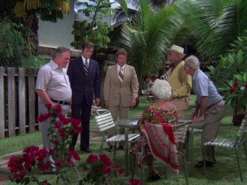  Hawaii Five-O (TV Series) - S8/E9 ’Retire in Sunny Hawaii… Forever’ (1975)Charles Durning as