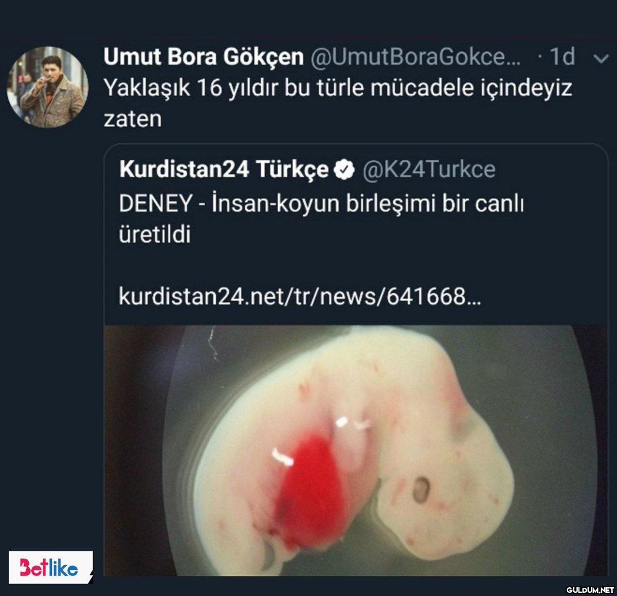 Betlike Umut Bora Gökçen...